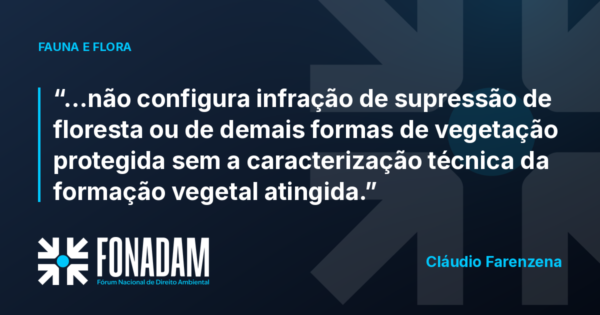 Supressão de vegetação isolada em área urbana exige caracterização técnica da formação